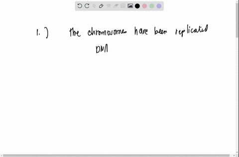 1-check-all-the-correct-statements-about-the-cell-cycle-during-the-g2-checkpoint-in-eukaryotic-cells-the-cell-is-assessed-with-regard-to-dna-replication-during-the-m-checkpoint-in-eukaryotic-24594