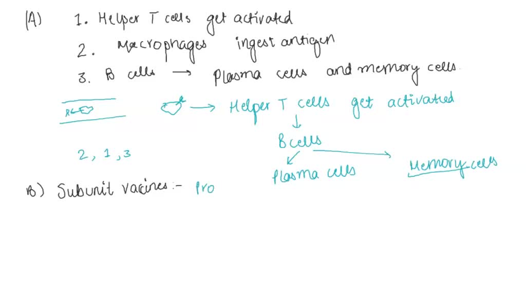 SOLVED: A) Arrange the following in the proper order in which they ...