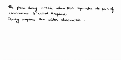 the-phase-during-mitosis-when-dna-separates-into-pairs-of-chromosomes-is-anaphase-metaphase-prophase-interphase-53453