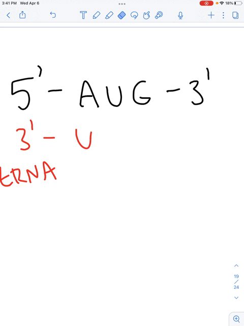 7-draw-a-trna-that-would-recognize-the-codon-5a-u-g-what-is-the-sequence-of-this-trna-s-anticodon-label-the-ends-of-the-trna-3-and-5-label-the-anticodon-in-your-diagram-and-write-out-the-seq-47469