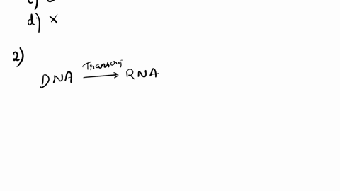 1what-is-the-main-function-of-trna-in-relation-to-protein-synthesis-ainhibits-protein-synthesis-bproofreading-cidentifies-amino-acids-and-transport-them-to-ribosome-dall-of-these-2translatio-39116