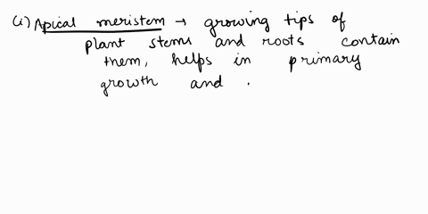 1give-one-example-of-i-apical-meristem-ii-lateralmeristem2-what-do-you-understand-by-meristematic-tissue3-where-can-one-find-meristematic-tissue-in-plant4-what-are-the-two-main-types-of-plan-60674