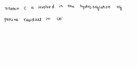 defective-collagen-in-scurvy-is-due-to-insufficient-vitamin-c-vitamin-c-a-is-required-for-the-conversion-of-lysine-to-hydroxylysine-b-is-not-synthesized-by-most-animals-c-is-involved-in-the-57316