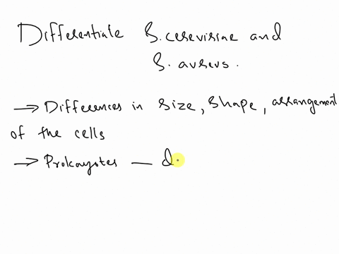 question-completion-status-words-0-path-question-2-polnts-students-commonly-confuse-saccharomyces-cerevlslae-and-staphylococcus-aureus-when-viewed-on-microscope-slide-how-could-you-different-68288