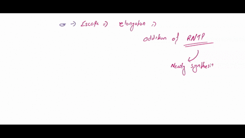 The diagram shown below BEST illustrates the transcriptional...