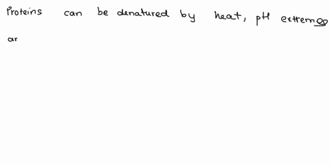 how-a-protein-can-be-denatured-72701