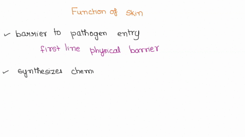 functions-of-skin-select-all-of-the-following-that-are-functions-of-human-skin-acts-as-a-barrier-t0-pathogen-entry-synthesizes-chemicals-that-affect-the-body-prevents-dessication-the-loss-of-95817