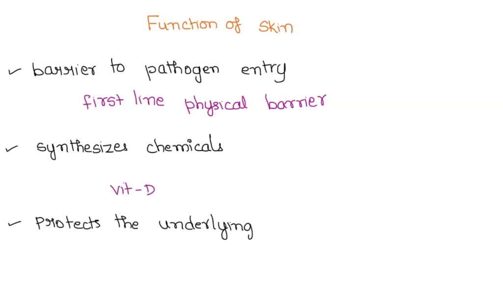 SOLVED: Functions of skin Select all of the following that are ...
