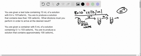 you-are-given-a-test-tube-containing-10-ml-of-a-solution-with-84-x-107cellsml-you-are-to-produce-a-solution-that-contains-less-than-100-cellsml-what-dilutions-must-you-perform-in-order-to-ar-82344