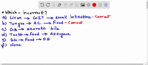 question-40-2-pt-which-of-the-following-statements-is-incorrect-the-liver-is-considered-to-be-part-of-the-gastrointestinal-tract-since-it-produces-secretions-that-flow-into-the-small-intesti-15861