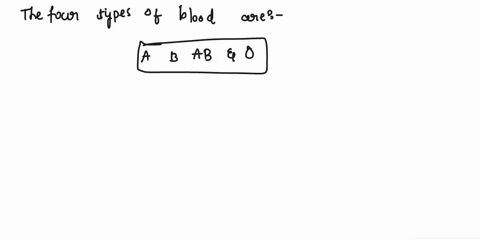 what-are-the-blood-types-and-what-makes-them-different-23536
