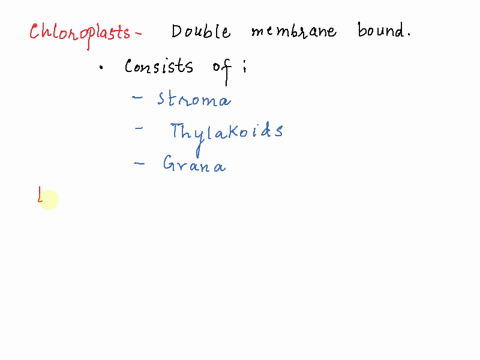 grana-thylakoids-and-stroma-are-all-components-found-in-chloroplasts-lysosomes-b-mitochondria-vacuoles-49008