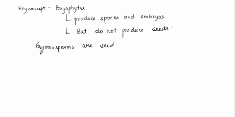 describe-the-structure-of-spore-of-riccia-29978