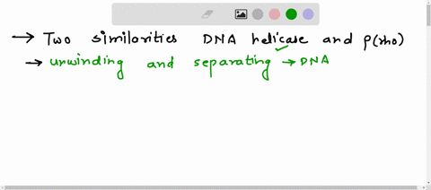 list-two-similarities-and-one-difference-between-dna-helicase-used-in-dna-replication-and-irho-protein-used-in-transcription-43664