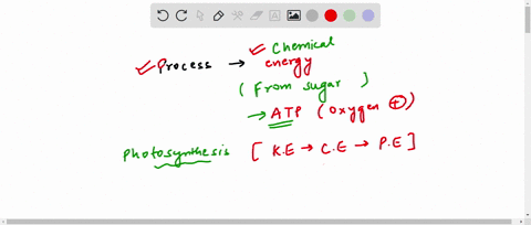 question-6-2-points-lieten-which-process-releases-chemical-energy-from-sugar-and-other-carbon-based-molecules-to-make-atp-when-oxygen-is-present-photosynthesis-light-independent-reaction-lig-35178