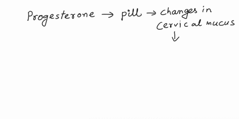 the-oral-contraceptive-pill-informally-called-the-pill-primarily-contains-progesterone-or-a-synthetic-version-of-this-hormone-this-effectively-increases-plasma-concentration-and-works-as-a-c-46718