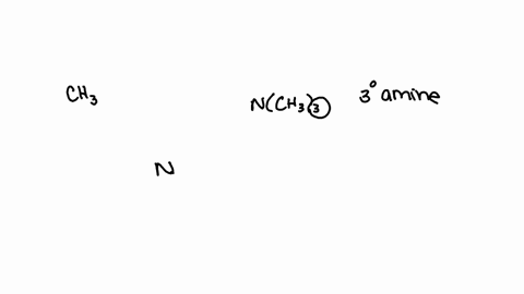 pant-a-chn-draw-the-molecule-on-the-canvas-by-choosing-buttons-from-the-tools-for-bonds-atoms-and-advanced-template-toolbars-including-charges-where-needed-the-single-bond-active-by-default-55565