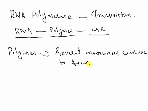 9-why-is-rna-polvmerase-good-part-of-the-name-rna-name-for-the-enzyme-that-carries-out-transcription-polymer-and-ase-explain-each-19223