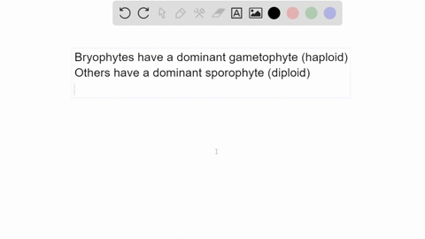 what-feature-of-the-lifecycle-differs-for-bryophytes-compared-with-all-other-land-plants