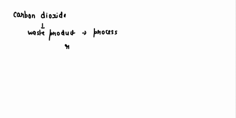 the-concentration-of-which-substance-is-most-important-in-regulating-the-rate-of-respiration-a-chl-4-59637