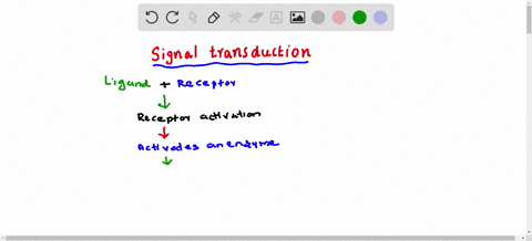 the-following-is-a-list-of-steps-that-take-place-during-signal-transduction-place-the-steps-in-the-proper-order-transcription-factors-turn-on-genes-2growth-factor-binds-to-cell-surface-recep-79517