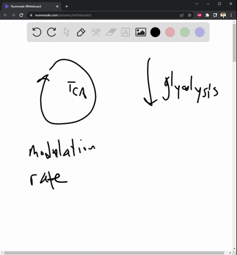 explain-how-a-circular-pathway-such-as-the-citric-acid-cycle-fundamentally-differs-from-a-linear-biochemical-pathway-such-as-glycolysis-describe-how-pyruvate-the-product-of-glycolysis-is-pre-31069