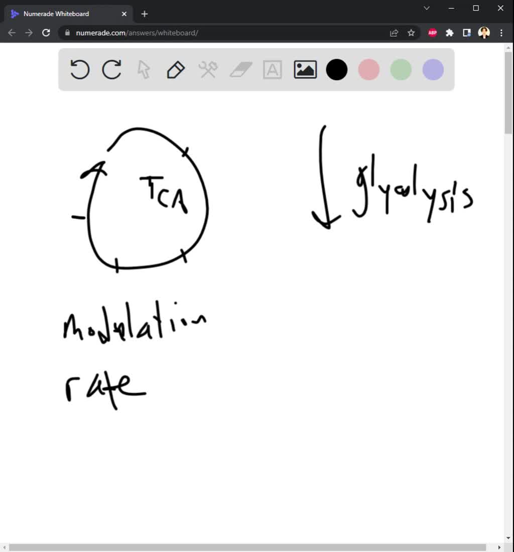 pin-on-enzymes-catalysis-regulation