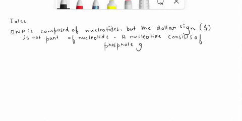 dna-is-double-helix-composed-of-nucleotides-true-false-57218