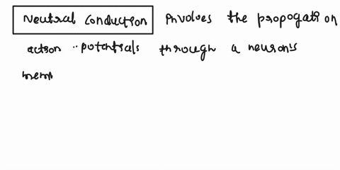 discuss-the-process-of-neural-conduction-including-the-ionic-basis-of-action-potentials-refractory-periods-and-conduction-of-action-potentials-what-are-all-of-the-variables-contribute-to-the-68768