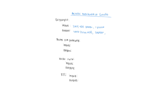 how-many-atp-molecules-can-be-made-from-the-complete-aerobic-metabolism-of-one-molecule-of-glucose-part-1-categorise-each-energy-product-ie-substrate-level-phosphorylation-atp-itself-nadh-and-fadh2-ac