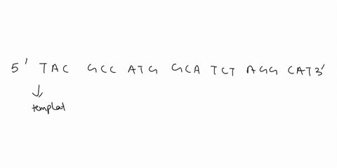 wrlte-the-amlno-acid-sequence-and-the-structure-for-a-polypeptide-whlch-is-coded-for-by-the-following-dna-template-strand-5-tac-gcc-atg-gca-tct-agg-cat-3-28982