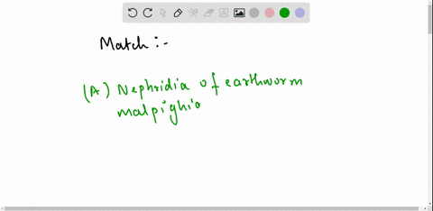 match-the-pair-of-items-with-the-category-of-organs-a-nephridia-of-earthworm-and-malpighian-tubules-of-cockroach-excretory-organ-b-wings-of-honey-bee-and-crow-homologous-organs-c-nictitating-29486