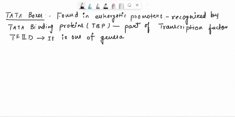 tata-boxes-are-oa-the-eukaryotic-equivalent-of-sigma-factors-b-found-in-prokaryotic-promoters-c-eukaryotic-enhancers-dfound-in-eukaryotic-promoters-e-prokaryotic-enhancers-88779