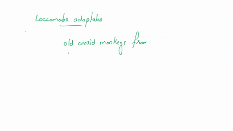 one-major-difference-in-locomotor-adaptation-that-distinguishes-old-world-monkeys-from-apes-is-that-old-world-monkcys-arc-spccializcd-for-arborcal-locomotion-but-apcs-arc-tcrrestrial-apcs-mo-50781