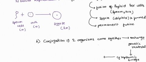 describe-the-different-types-of-sexual-and-asexual-reproduction-in-animals-76958