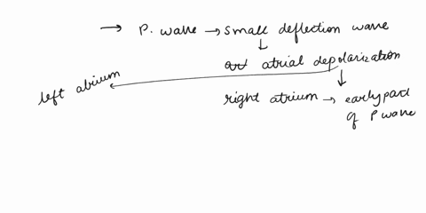 9-the-p-wave-in-ekg-represents-a-ventricular-depolarization-batrial-depolarization-c-ventricular-repolarization-dventricular-diastole-10-what-is-the-function-of-the-heart-apumps-the-blood-ca-22084