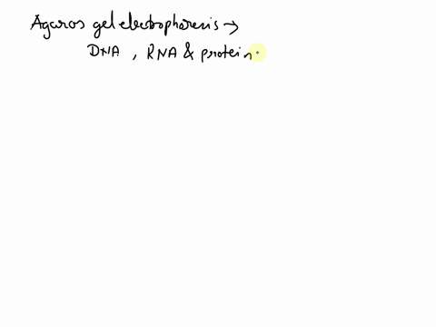 2what-is-agarose-gel-electrophoresis-ausing-electricity-to-run-macromolecules-through-a-gel-like-medium-to-separate-by-size-and-charge-busing-electricity-to-determine-the-size-of-an-unknown-02238