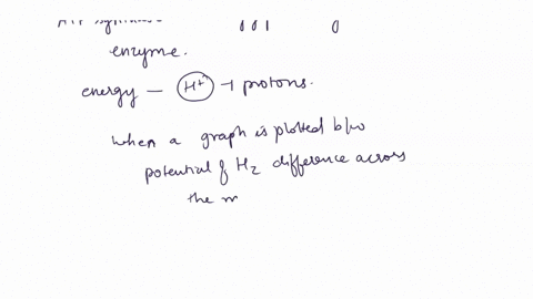 the-graph-here-shows-the-mathrmph-difference-across-the-inner-mitochondrial-membrane-over-time-in-an-42763