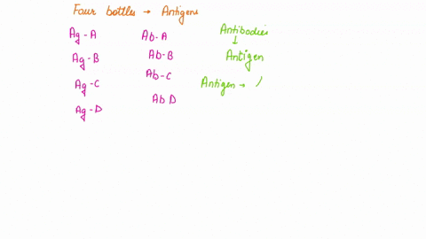 1-if-in-your-science-lab-four-bottles-containing-antigens-have-been-mixed-up-how-would-you-be-able-to-determine-which-bottle-contained-which-antigen-the-bottles-contained-ag-a-ag-b-ag-c-and-31895