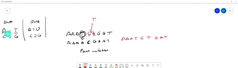 the-genetic-code-is-based-on-each-amino-acid-being-coded-for-by-a-distinctive-series-of-three-nucleic-acid-bases-called-a-codon-the-following-is-a-short-segment-of-dna-using-the-slash-symbol-to-sepa-2