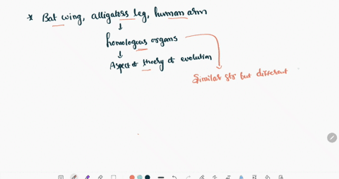 a-bat-wing-an-alligator-leg-and-a-human-arm-are-homologous-structures-which-fact-about-those-structures-best-supports-one-aspect-of-theory-of-evolution-71348