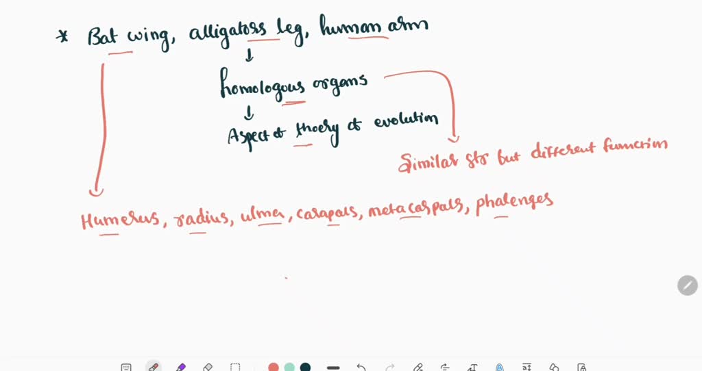 SOLVED: A bat wing, an alligator leg, and a human arm are homologous ...