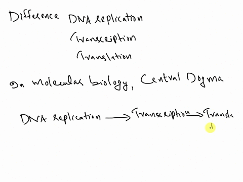 what-is-the-difference-between-dna-replication-transcription-and-translation-do-they-all-work-together-98078