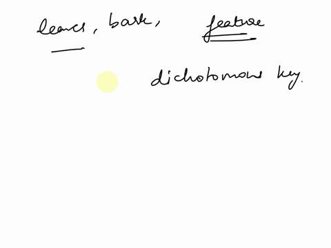 part-3using-a-dlchotomous-key-to-identify-trees-in-this-sectiona-dichotomous-key-will-be-used-to-identify-tree-species-based-on-samples-provided-by-your-instructor-refer-to-the-guide-that-fo-38455