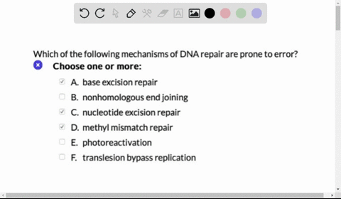 which-of-the-following-mechanisms-of-dna-repair-are-prone-to-error-choose-one-or-more-base-excision-repair-nonhomologous-end-joining-nucleotide-excision-repair-d-methyl-mismatch-repair-photo-41623