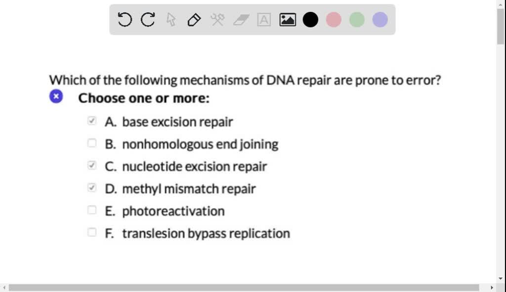 Solved Which Features Are Common Between Mismatch Repair And Excision Repair Select All That