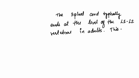 where-does-the-spinal-cord-end-nearest-to-what-vertebra