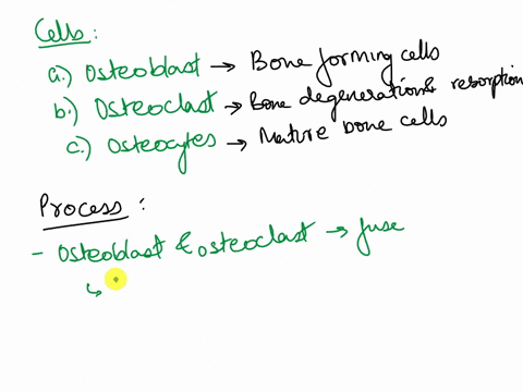 describe-the-cells-which-can-be-found-in-bone-tissue-and-how-these-contribute-to-the-structure-and-remodeling-capacity-of-bone-83595