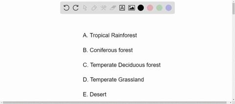 which-ecosystem-is-shown-in-the-shaded-areas-of-this-global-map-a-tropical-rain-forests-8-coniferous-forests-temperate-deciduous-forest-d-temperate-grasslands-desert-59833
