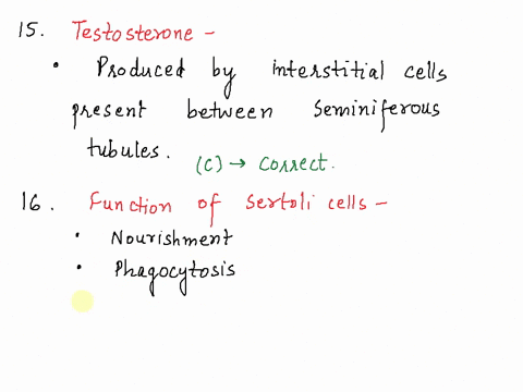testosterone-produced-sperm-cells-seminiferous-tubules-the-testes-interstitial-cells-aftho-testis-epididymnis-anterior-lobe-of-the-pituitary-which-of-the-following-is-not-function-serolm-cel-03404